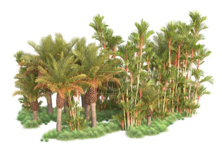 Photo for Island flora. 3d rendering illustration of exotic tropical trees - Royalty Free Image