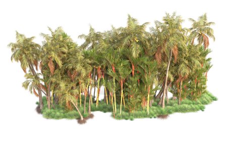 Téléchargez les photos : Flore insulaire. Illustration de rendu 3D d'arbres tropicaux exotiques - en image libre de droit