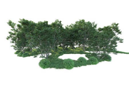 Foto de Vista del bosque con árboles sobre fondo blanco - Imagen libre de derechos
