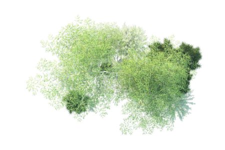 Foto de Bosque aislado sobre fondo blanco. representación 3d - ilustración - Imagen libre de derechos