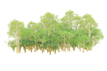 Photo for Forest isolated. Image useful for banners nd poster or photo manipulations. 3d rendering. - Royalty Free Image