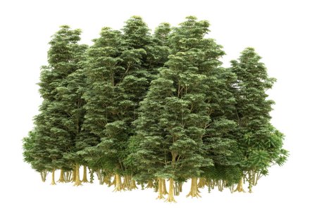 Photo for Forest isolated on white background. 3d rendering - illustration - Royalty Free Image
