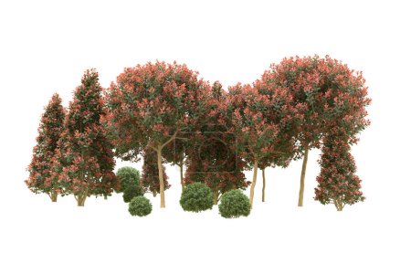 Photo for Forest isolated on background. 3d rendering - illustration - Royalty Free Image