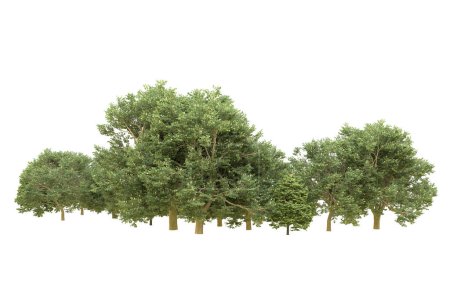 Photo for Forest isolated on background. 3d rendering - illustration - Royalty Free Image