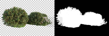 Photo for Forest isolated. Image useful for banners nd poster or photo maipulations. 3d rendering. - Royalty Free Image