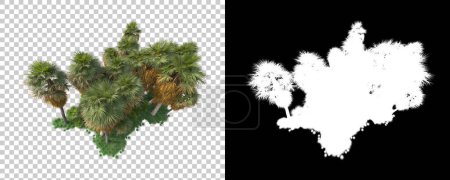 Photo for Forest isolated on background with mask. 3d rendering - illustration - Royalty Free Image