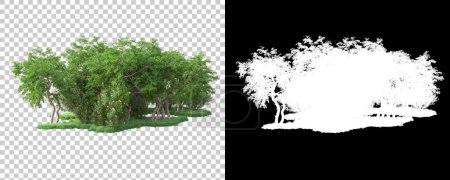 Photo for Forest isolated on background with mask. 3d rendering - illustration - Royalty Free Image