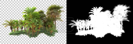 Photo for Tropical forest isolated on background with mask. 3d rendering - illustration - Royalty Free Image