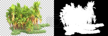 Photo for Tropical forest isolated on background with mask. 3d rendering - illustration - Royalty Free Image