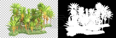 Foto de Bosque tropical aislado sobre fondo con máscara. representación 3d - ilustración - Imagen libre de derechos