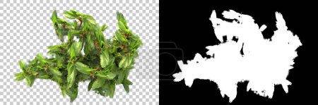 Téléchargez les photos : Illustration de fond de feuilles vertes. rendu 3D. Utile pour les bannières commerciales et l'impression - Illustration - en image libre de droit