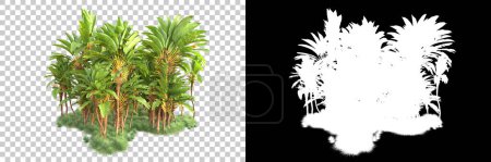 Téléchargez les photos : Forêt tropicale isolée en arrière-plan avec masque. rendu 3d - illustration - en image libre de droit