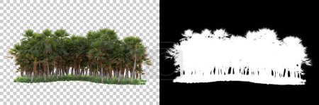 Foto de Bosque tropical aislado sobre fondo con máscara. representación 3d - ilustración - Imagen libre de derechos