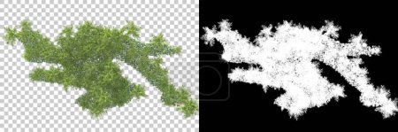 Foto de 3d aislado renderizado de árboles para collaging, canal alfa - Imagen libre de derechos