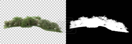 Téléchargez les photos : Forêt verte isolée sur fond transparent avec masque. rendu 3d - illustration - en image libre de droit