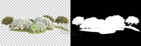 Téléchargez les photos : Forêt verte isolée sur fond transparent avec masque. rendu 3d - illustration - en image libre de droit
