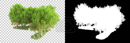 Photo for Green forest isolated on transparent background with mask. 3d rendering - Royalty Free Image
