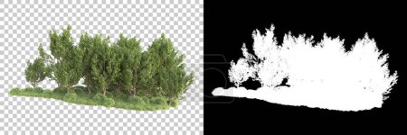 Photo for Green trees on transparent background with mask. 3d rendering. Nature - Royalty Free Image
