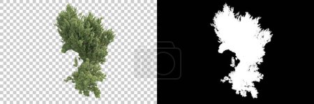 Photo for Trees on transparent background with mask. 3d rendering. Nature - Royalty Free Image