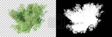Foto de Árboles verdes sobre fondo transparente con máscara. renderizado 3d. Naturaleza - Imagen libre de derechos