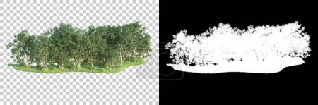 Photo for Green trees on transparent background with mask. 3d rendering. Nature - Royalty Free Image
