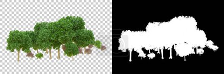 Photo for Forest isolated on the background with a mask. 3d rendering - illustration - Royalty Free Image