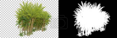 Téléchargez les photos : Vue sur la forêt tropicale avec palmiers - en image libre de droit