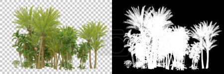 Téléchargez les photos : Vue sur la forêt tropicale avec palmiers - en image libre de droit