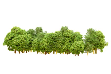 Foto de Árboles verdes sobre fondo blanco. renderizado 3d. Naturaleza - Imagen libre de derechos