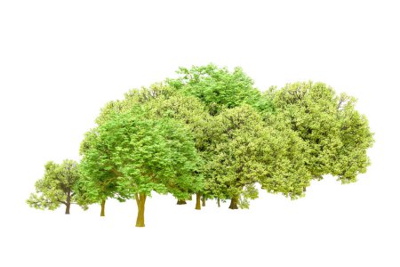 Photo for Green trees on white background. 3d rendering. Nature - Royalty Free Image