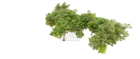 Photo for Green trees on white background. 3d rendering. Nature - Royalty Free Image