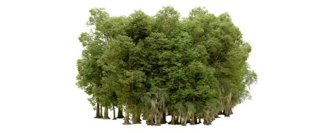 Foto de 3d representación de árboles verdes aislados sobre fondo blanco - Imagen libre de derechos