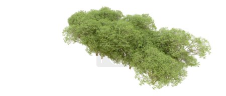 Téléchargez les photos : Rendu 3d d'arbres verts isolés sur fond blanc - en image libre de droit