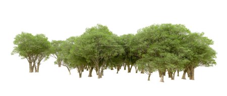 Foto de 3d representación de árboles verdes aislados sobre fondo blanco - Imagen libre de derechos