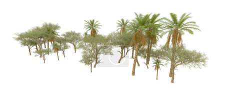 Téléchargez les photos : Tropical forest isolated on white background. 3d rendering - illustration - en image libre de droit