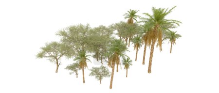 Téléchargez les photos : Tropical forest isolated on white background. 3d rendering - illustration - en image libre de droit