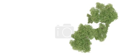 Téléchargez les photos : Arbres buissonnants verts isolés sur fond blanc - en image libre de droit