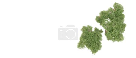 Photo for Green bushy trees isolated on white background - Royalty Free Image