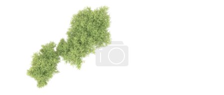 Photo for Green trees isolated on white background - Royalty Free Image