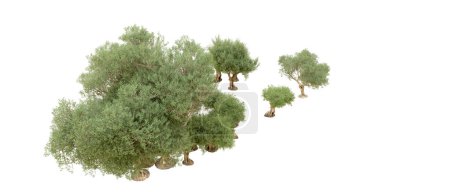 Photo for Green forest isolated on white background. 3d rendering illustration - Royalty Free Image