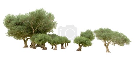 Photo for Green forest isolated on white background. 3d rendering illustration - Royalty Free Image