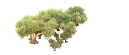 Foto de Bosque verde aislado sobre fondo blanco. Ilustración de representación 3d - Imagen libre de derechos