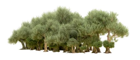 Téléchargez les photos : Forêt verte isolée sur fond blanc. Illustration de rendu 3d - en image libre de droit