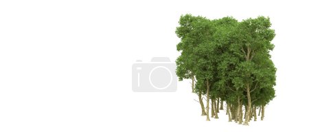 Téléchargez les photos : Forêt verte isolée. Utile pour les bannières et les affiches. Rendu 3d. - en image libre de droit