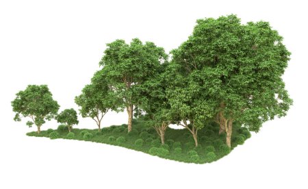 Photo for Green forest isolated. Useful for banners and posters. 3d rendering. - Royalty Free Image