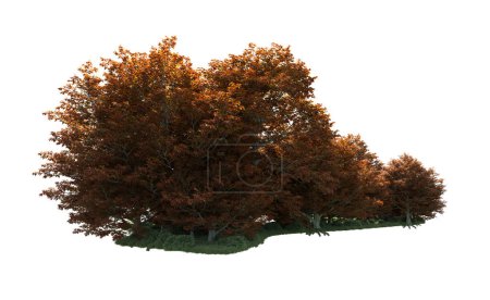 Foto de Árboles forestales aislados en el fondo con máscara. representación 3d - ilustración - Imagen libre de derechos