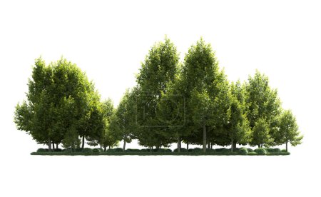 Foto de Árboles forestales aislados en el fondo con máscara. representación 3d - ilustración - Imagen libre de derechos