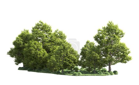 Photo for Forest trees isolated on background with mask. 3d rendering - illustration - Royalty Free Image