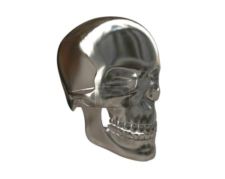 Foto de Cráneo aislado sobre fondo blanco - Imagen libre de derechos