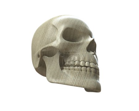 Photo for Skull isolated on white background - Royalty Free Image